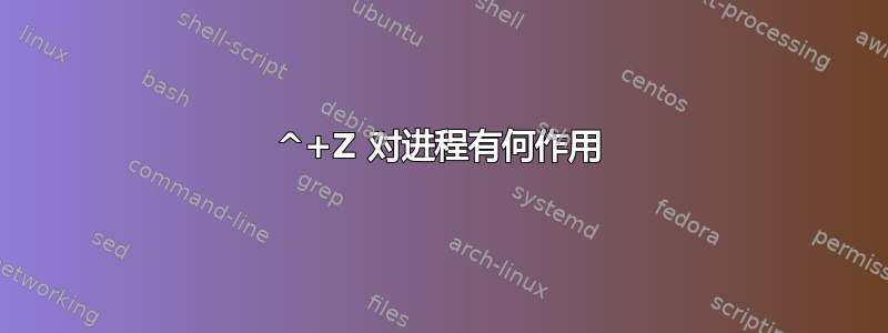 ^+Z 对进程有何作用