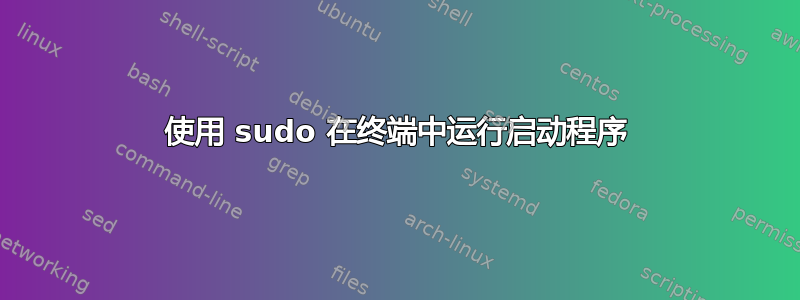 使用 sudo 在终端中运行启动程序