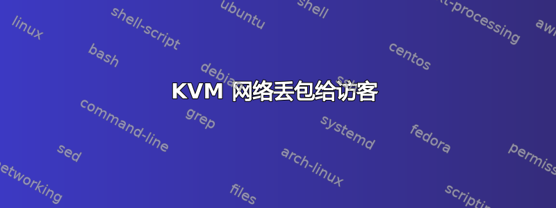 KVM 网络丢包给访客