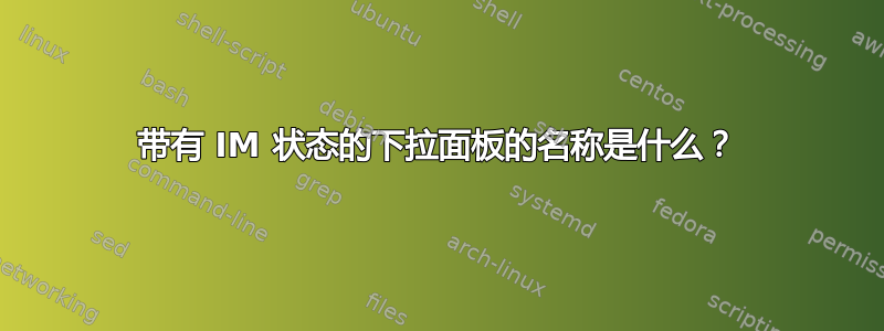 带有 IM 状态的下拉面板的名称是什么？