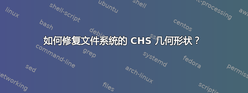 如何修复文件系统的 CHS 几何形状？