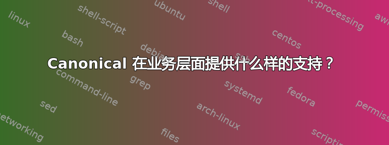 Canonical 在业务层面提供什么样的支持？