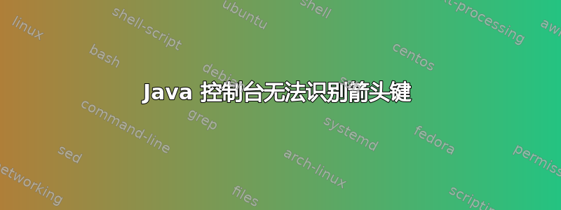 Java 控制台无法识别箭头键