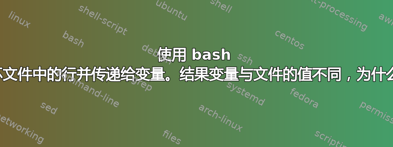 使用 bash 循环文件中的行并传递给变量。结果变量与文件的值不同，为什么？