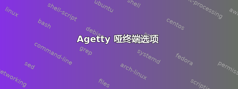 Agetty 哑终端选项