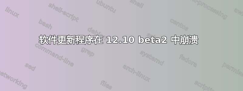 软件更新程序在 12.10 beta2 中崩溃 