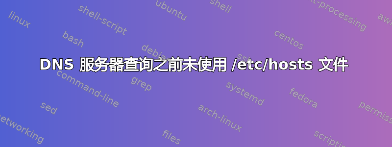 DNS 服务器查询之前未使用 /etc/hosts 文件