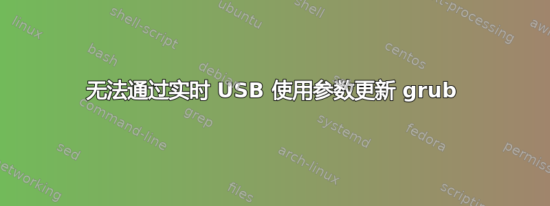 无法通过实时 USB 使用参数更新 grub