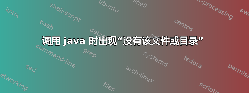 调用 java 时出现“没有该文件或目录”