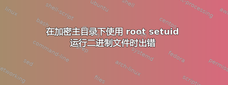 在加密主目录下使用 root setuid 运行二进制文件时出错