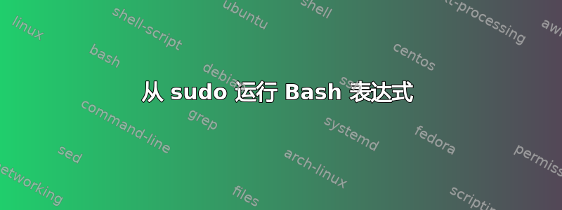 从 sudo 运行 Bash 表达式