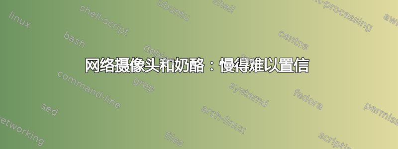 网络摄像头和奶酪：慢得难以置信