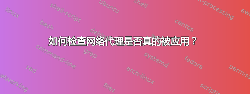 如何检查网络代理是否真的被应用？