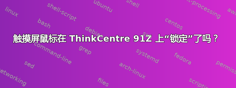 触摸屏鼠标在 ThinkCentre 91Z 上“锁定”了吗？