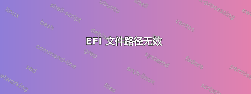 EFI 文件路径无效