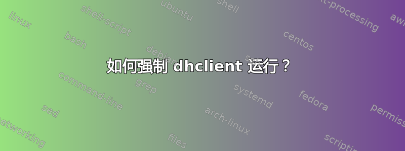 如何强制 dhclient 运行？