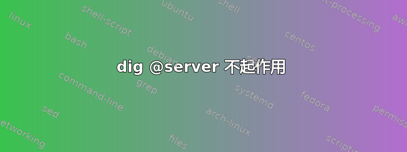 dig @server 不起作用