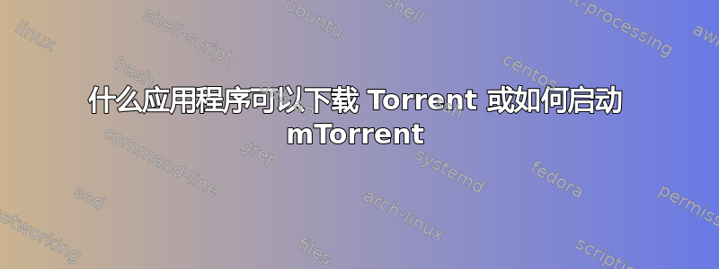 什么应用程序可以下载 Torrent 或如何启动 mTorrent