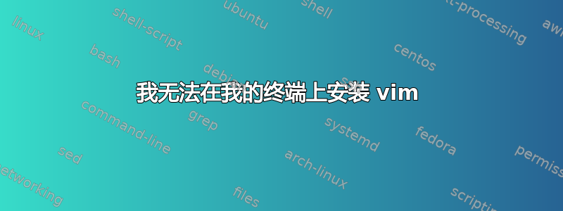 我无法在我的终端上安装 vim