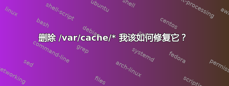 删除 /var/cache/* 我该如何修复它？