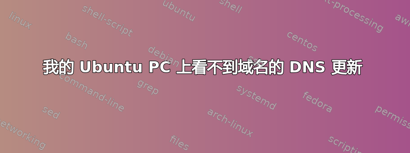 我的 Ubuntu PC 上看不到域名的 DNS 更新