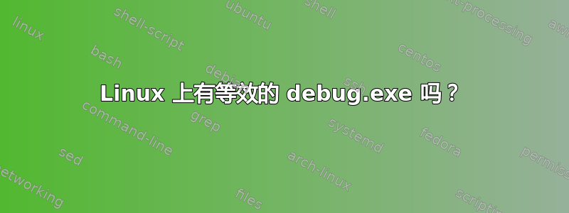 Linux 上有等效的 debug.exe 吗？