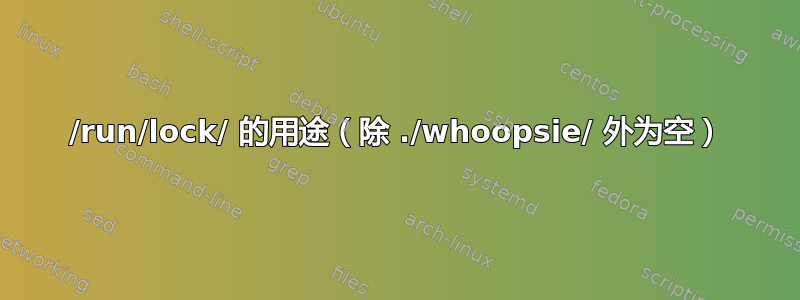 /run/lock/ 的用途（除 ./whoopsie/ 外为空）