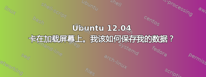 Ubuntu 12.04 卡在加载屏幕上。我该如何保存我的数据？