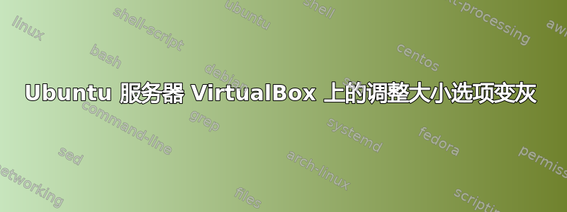 Ubuntu 服务器 VirtualBox 上的调整大小选项变灰