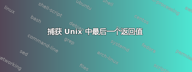 捕获 Unix 中最后一个返回值