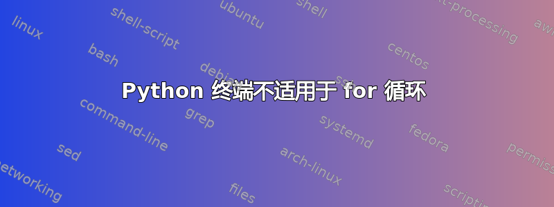 Python 终端不适用于 for 循环