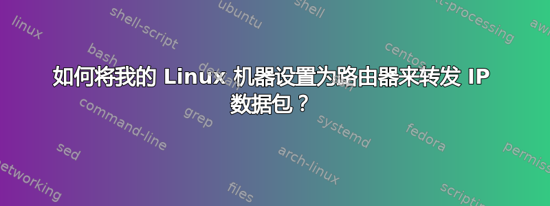 如何将我的 Linux 机器设置为路由器来转发 IP 数据包？