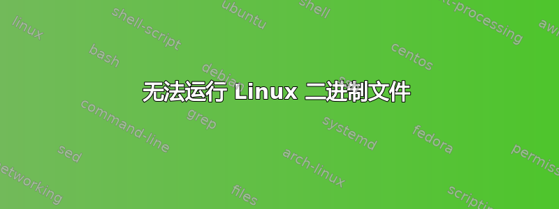 无法运行 Linux 二进制文件