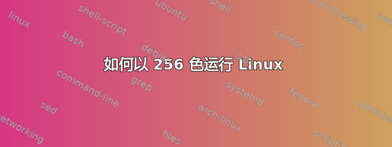 如何以 256 色运行 Linux