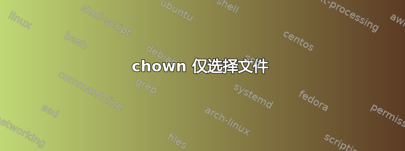 chown 仅选择文件