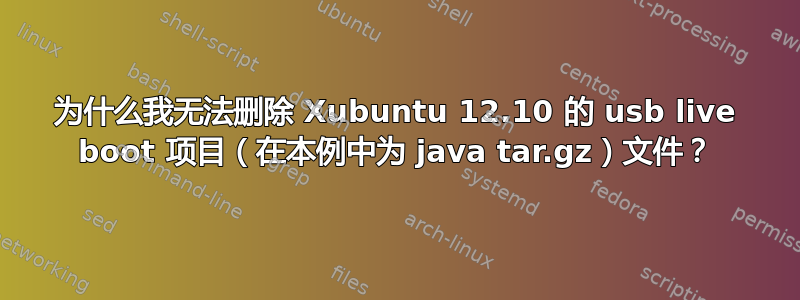 为什么我无法删除 Xubuntu 12.10 的 usb live boot 项目（在本例中为 java tar.gz）文件？