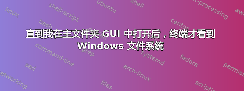 直到我在主文件夹 GUI 中打开后，终端才看到 Windows 文件系统