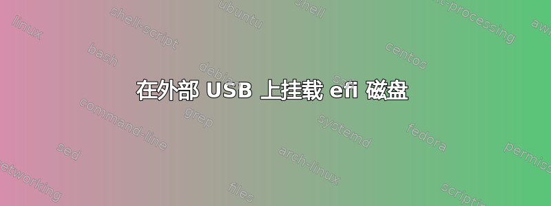 在外部 USB 上挂载 efi 磁盘