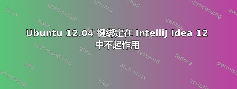 Ubuntu 12.04 键绑定在 IntelliJ Idea 12 中不起作用