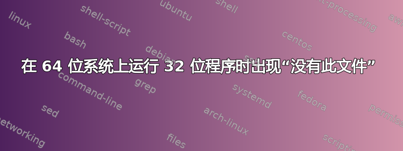 在 64 位系统上运行 32 位程序时出现“没有此文件”