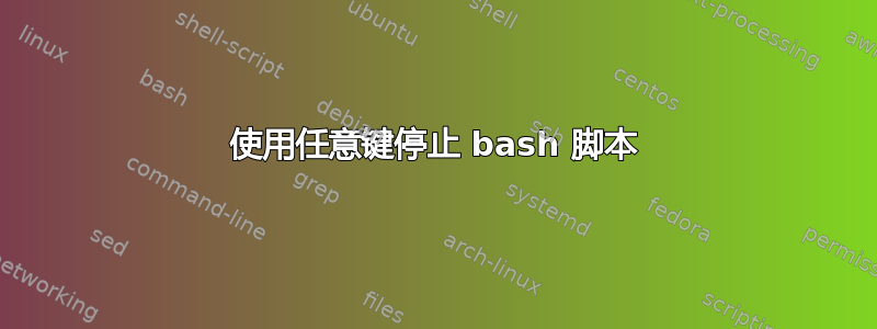 使用任意键停止 bash 脚本