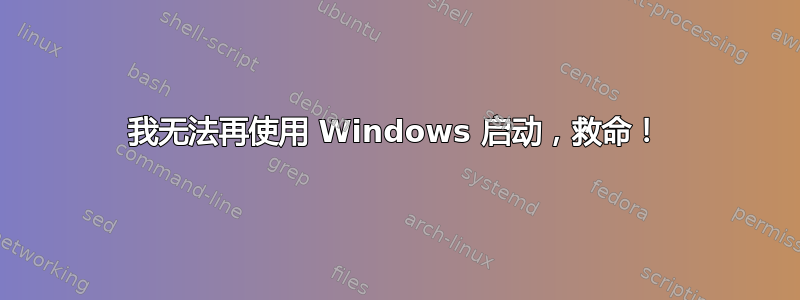 我无法再使用 Windows 启动，救命！