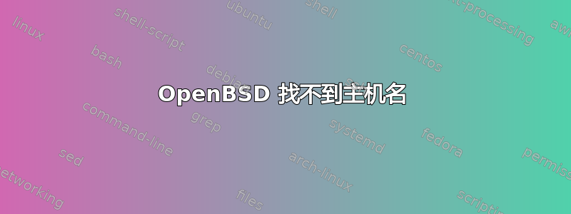 OpenBSD 找不到主机名