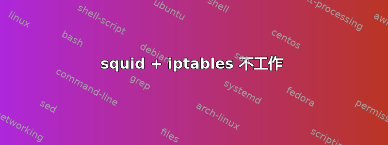 squid + iptables 不工作