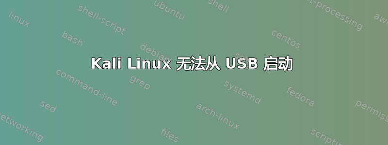 Kali Linux 无法从 USB 启动