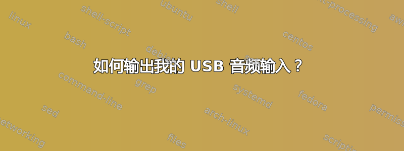 如何输出我的 USB 音频输入？