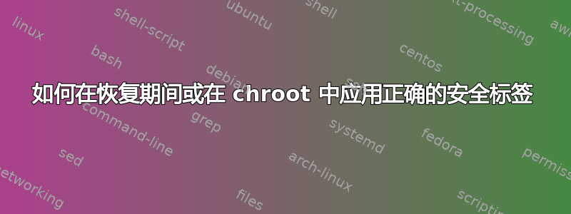 如何在恢复期间或在 chroot 中应用正确的安全标签