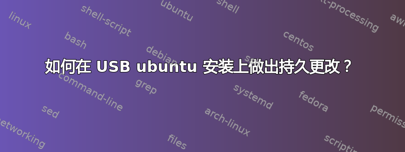 如何在 USB ubuntu 安装上做出持久更改？