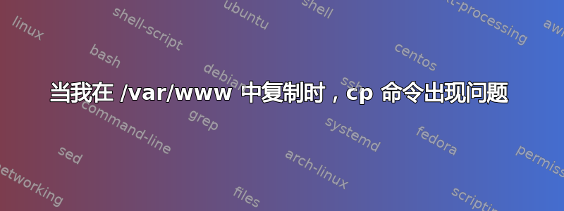 当我在 /var/www 中复制时，cp 命令出现问题