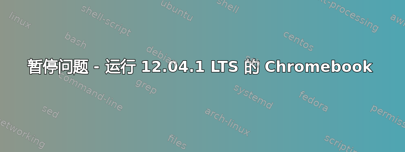 暂停问题 - 运行 12.04.1 LTS 的 Chromebook